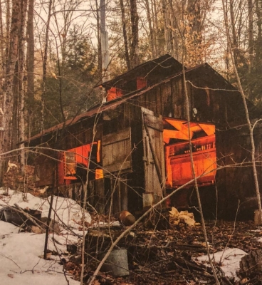 PTBR01332.jpg