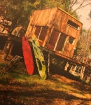 PTBR01331.jpg
