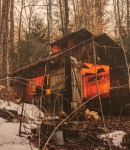 PTBR01332.jpg