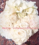 phoebe_stories_282829.jpg